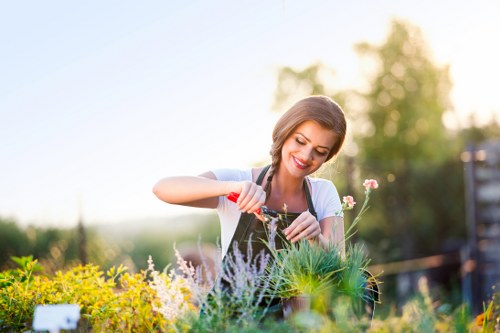 Gardener inspecting a front garden area with tools