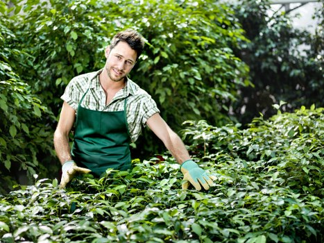 Gardening Bow team at work in a residential garden